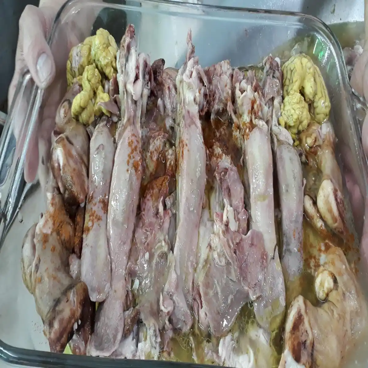 طباخی دلچسب