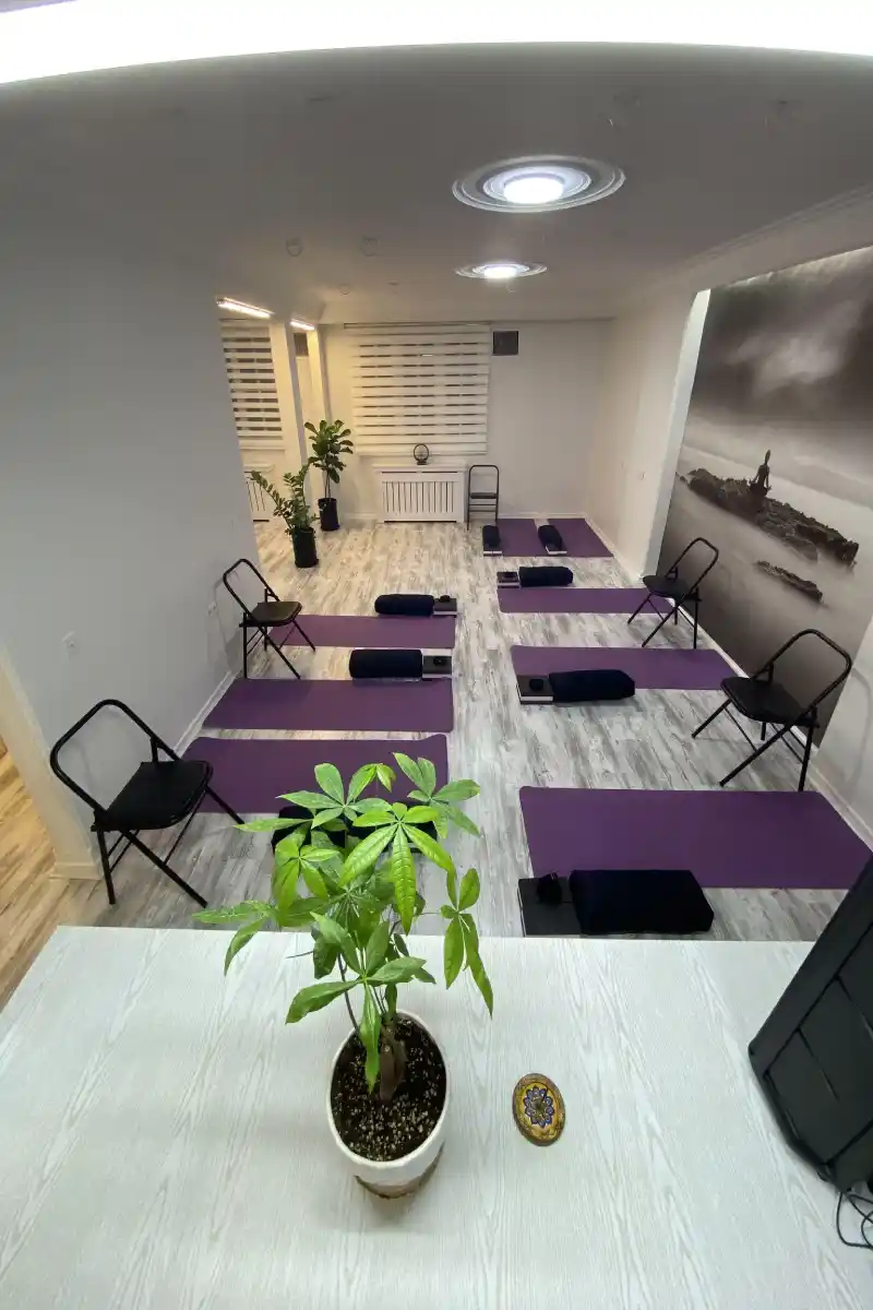 باشگاه ورزشی وانیا (خانه یوگا)