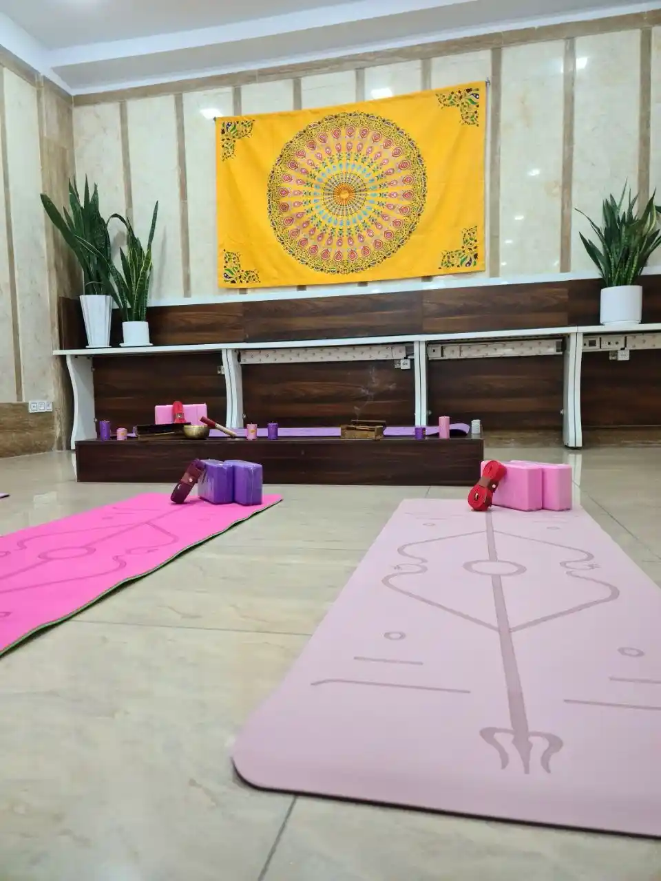 مرکز یوگا و اریال یوگا آرشیدا