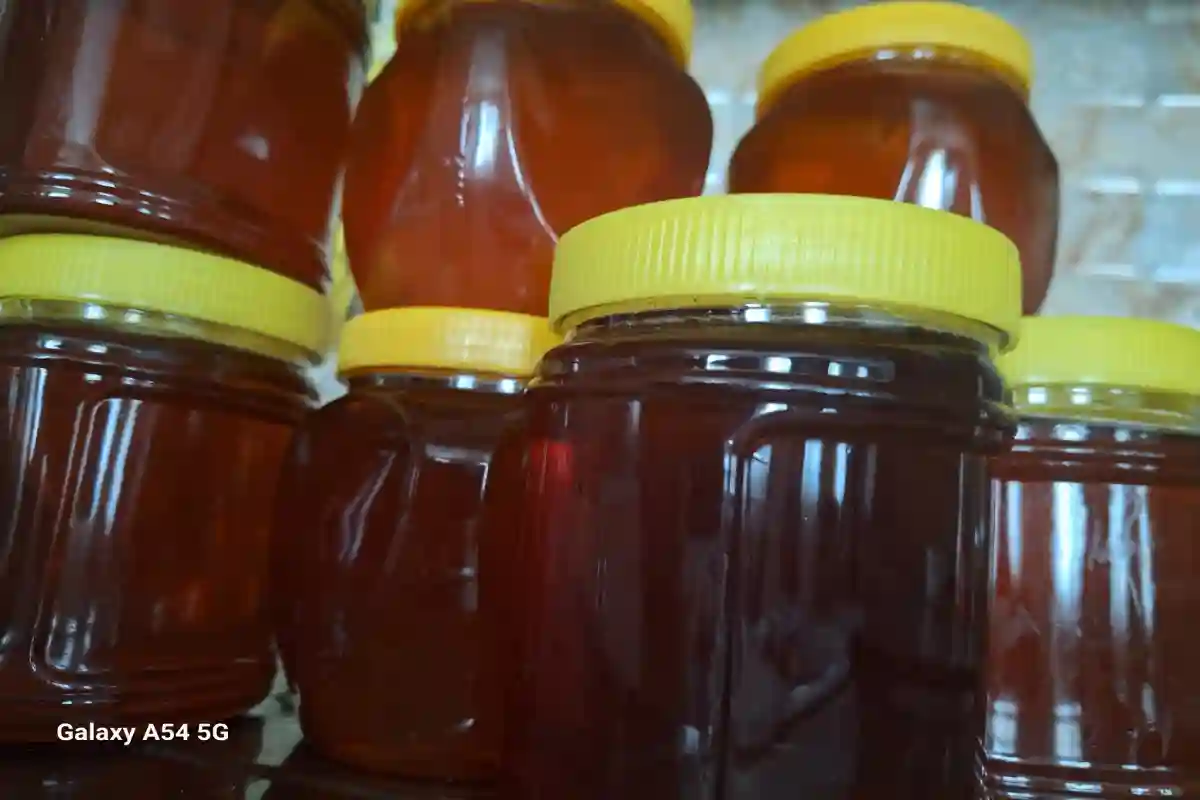 عسل کده سحر بانو