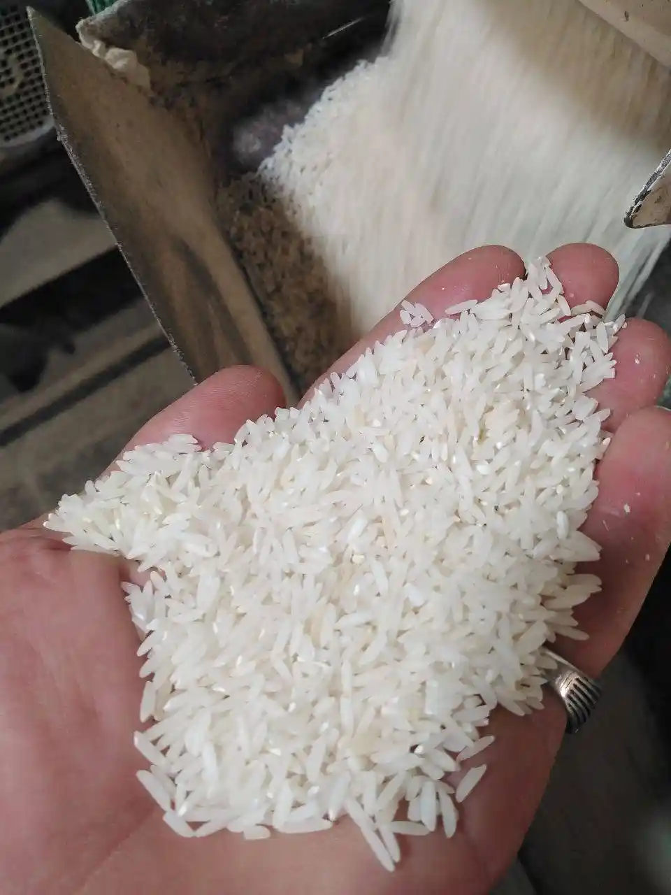  چای وبرنج عمومصطفی