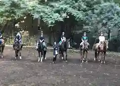 باشگاه سوارکاری شکی