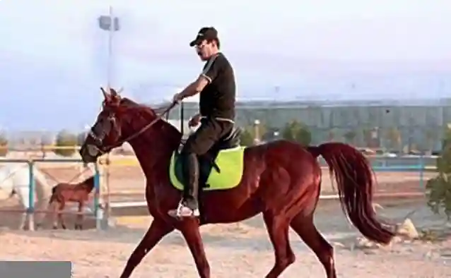  باشگاه سوارکاری نیروی هوایی ارتش