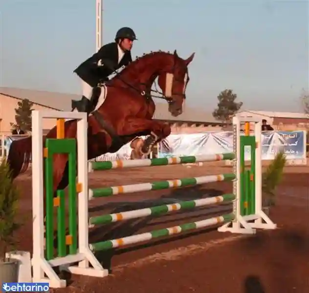 باشگاه سوارکاری سمند