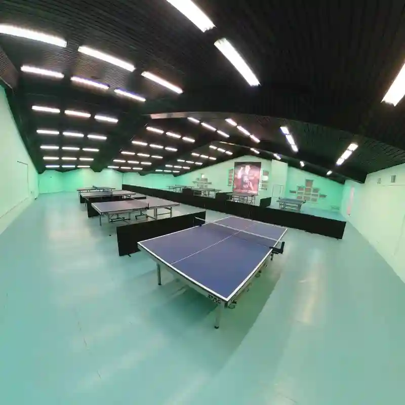 باشگاه پینگ‌پنگ سبز