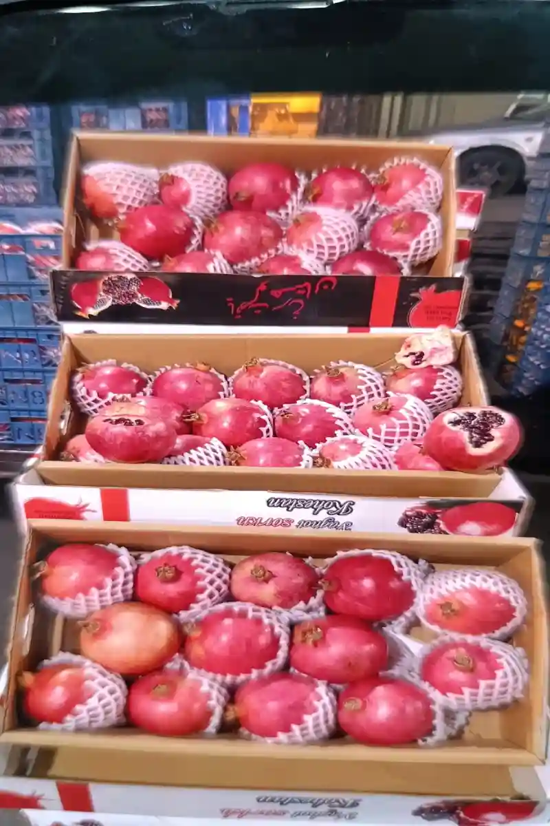  میوه فروشی شهید جمشیدی نبش کوچه شبنم