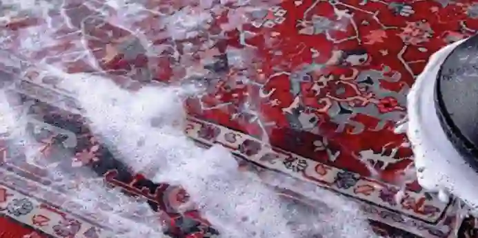 کارخانه قالیشویی ساوین (شعبه فرمانیه)