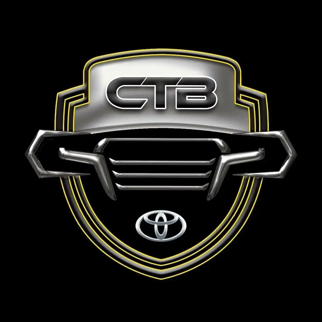 کارتیونینگ بختیاری