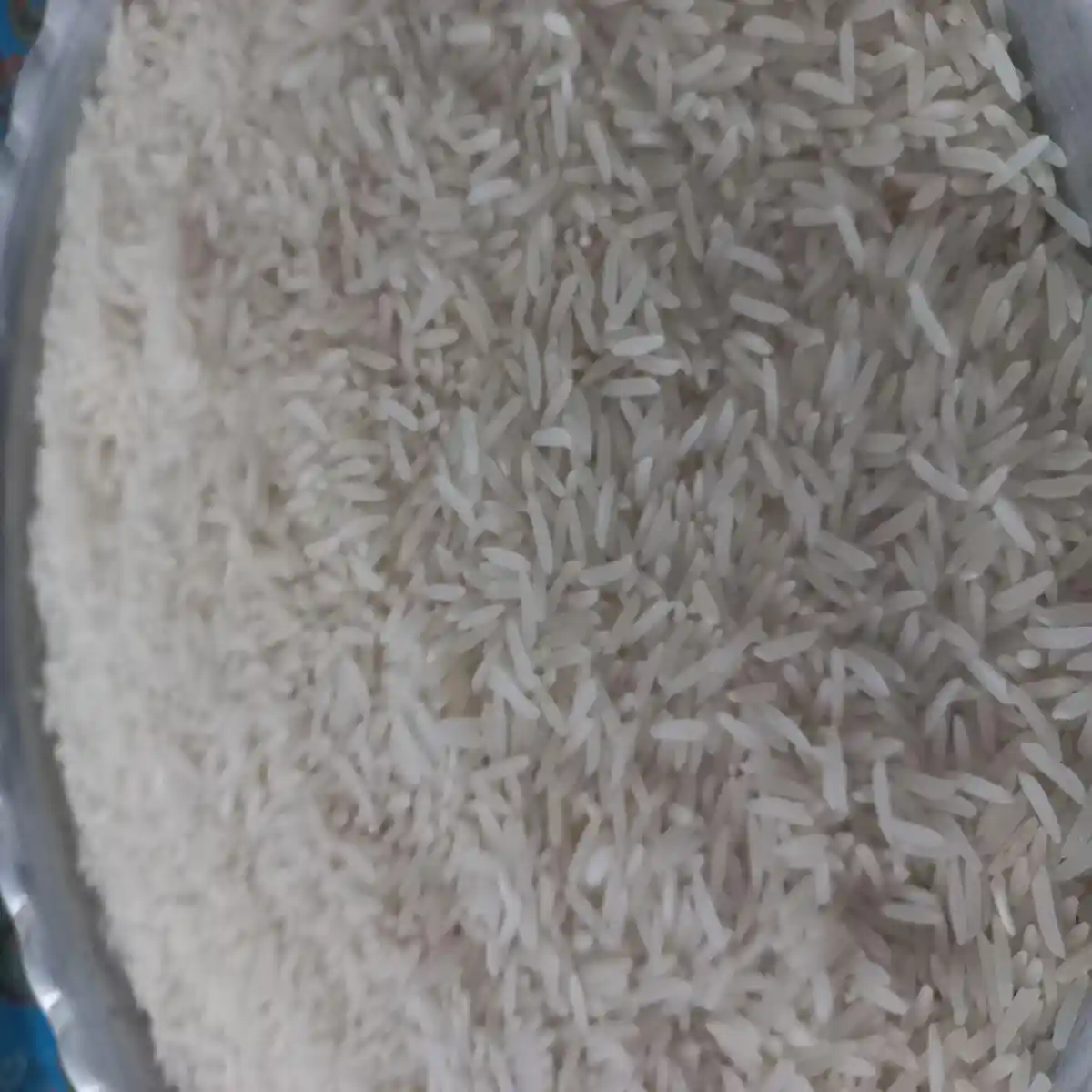  برنج گلستان