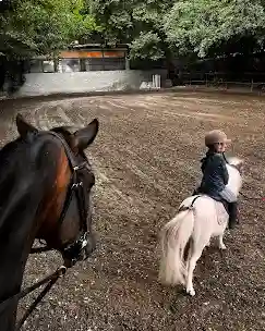 باشگاه سوارکاری شکی