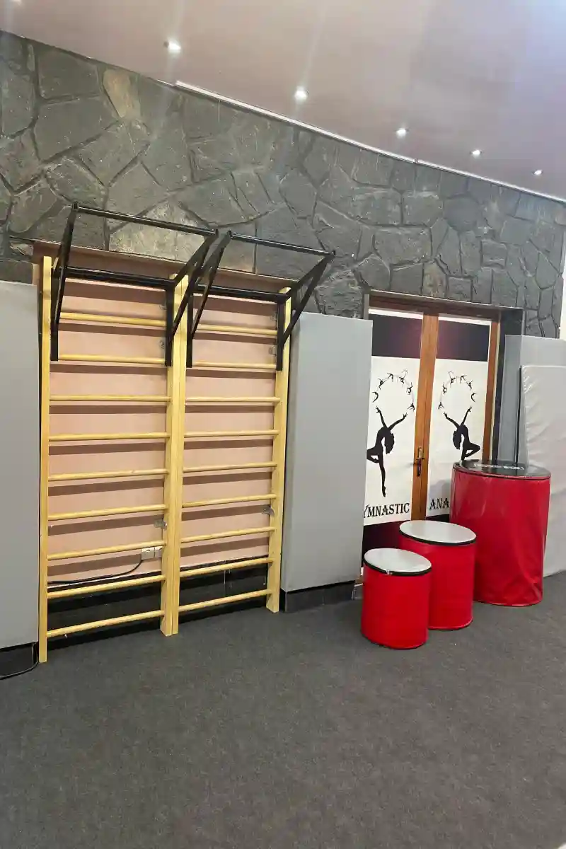 باشگاه ژیمناستیک آناهاتا