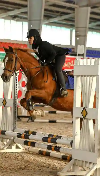  باشگاه سوارکاری زجاجی