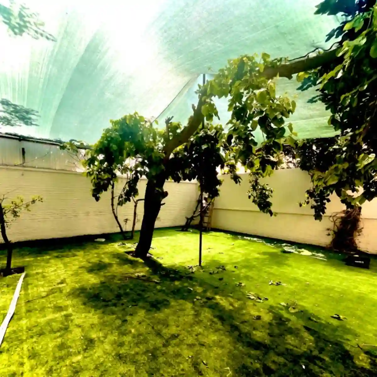 کمپ ترک اعتیاد هفت تیر