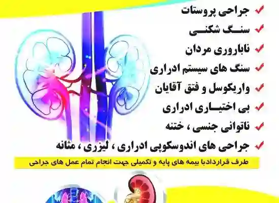  دکتر اسماعیل رزقی ملکی