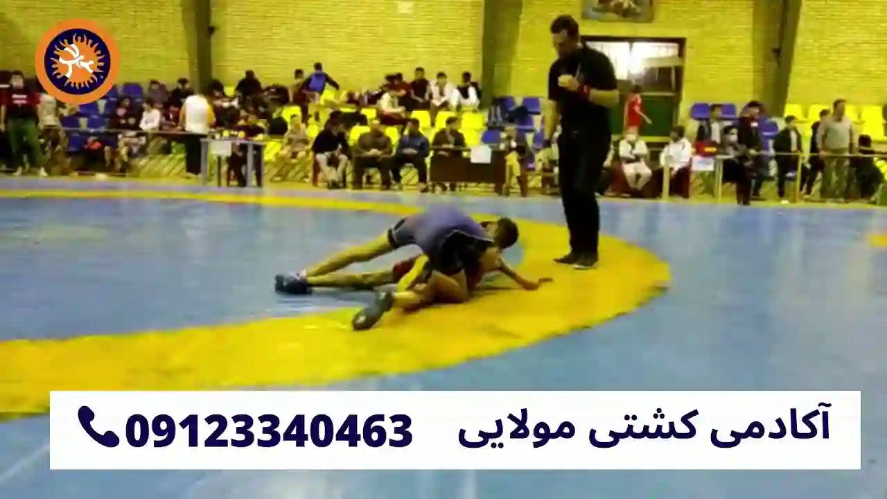  آکادمی کشتی مولایی