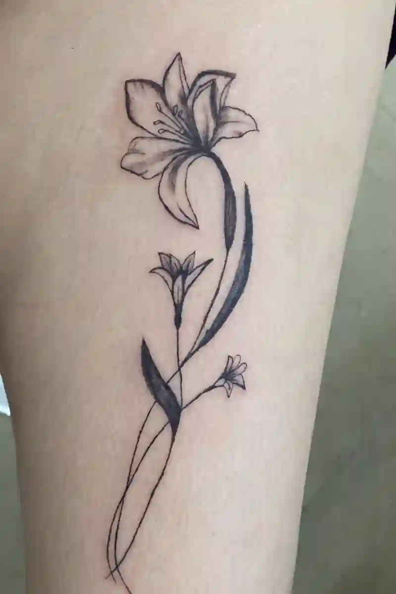 مرکز تتو بدن کوثر