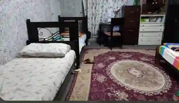 پانسیون دخترانه آرمیونی