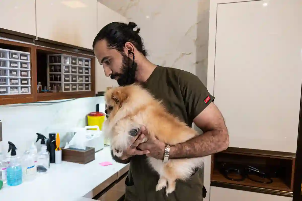 بیمارستان دامپزشکی آلپت