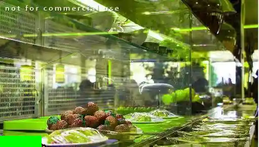 رستوران کوبابا