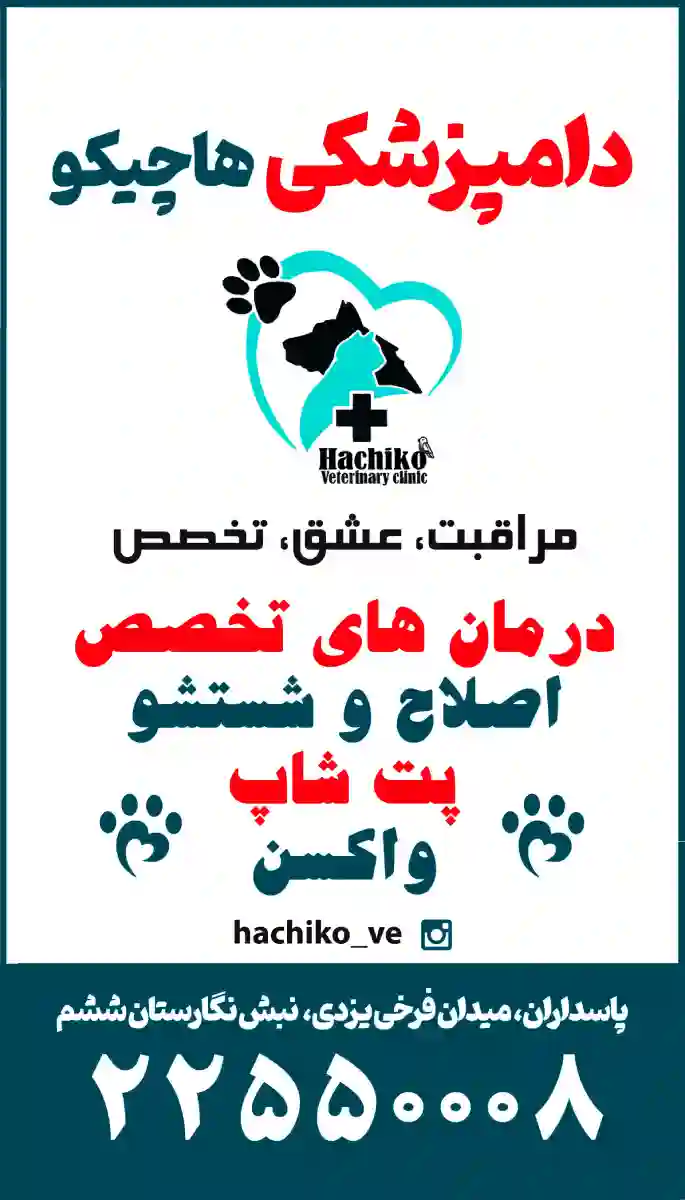 کلینیک دامپزشکی هاچیکو