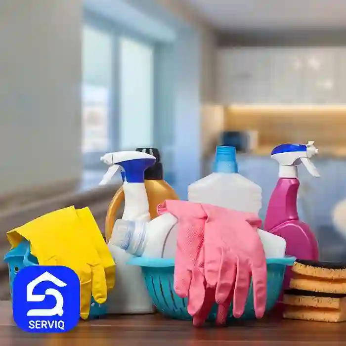 اپلیکیشن خدماتی سرویک