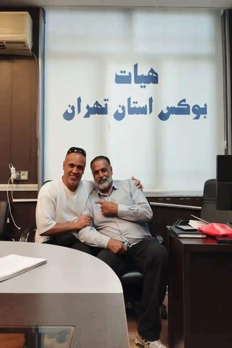 کلاب بوکس شاهین