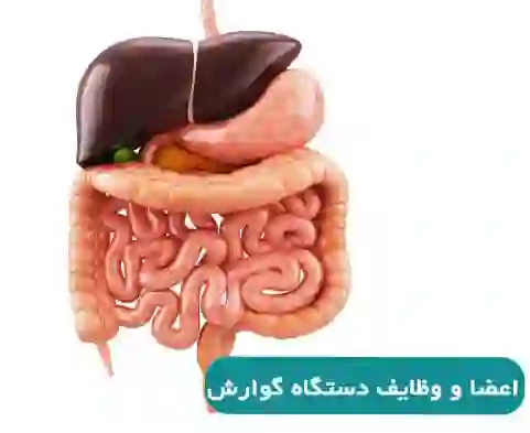 دکتر حامد زمانی